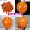 Bezente Dusty Pink Balloons Latex Party Balloons – 100 Pack 12 inch Round Helium Boho Blush Lilac Retro Pink Balloons for Graduation Anniversary Bachelorette Gender Reveal Princess Party Decorations(A011-3-burnt Orange)