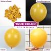Bezente Lime Green Latex Party Balloons – 100 Pack 12 inch Round Helium Light Pastel Kelly Green Balloons for Graduation Wedding Engagement Spring Forest Theme Birthday Tea Party Decorations(08-yellow-p58)