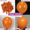 Bezente Metallic Green Balloons Latex Boho Party Balloons 100 Pack 12 inch(14-orange-p157)