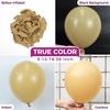 Bezente Metallic Green Balloons Latex Boho Party Balloons 100 Pack 12 inch(15-brown-p165)